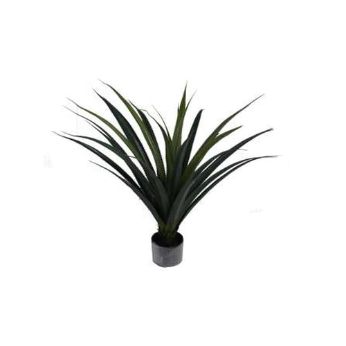 Agave con pote 70x80cm ref 592-460016