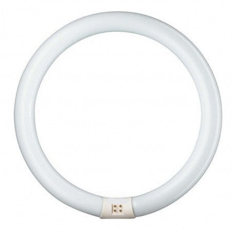 Tubo circular fluorescente t9 circular 22w ref bofwc22w