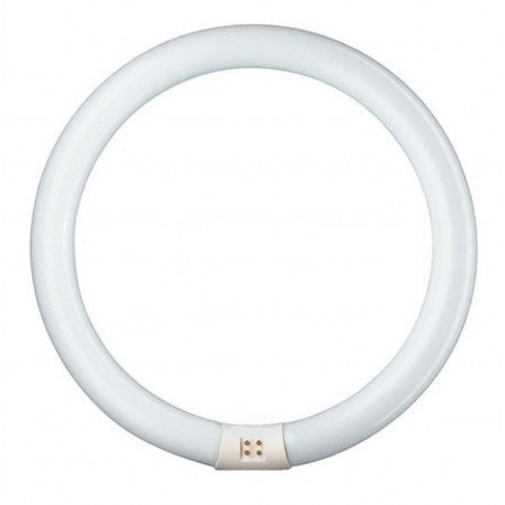 Tubo circular fluorescente t9 circular 32w ref bofwc32w